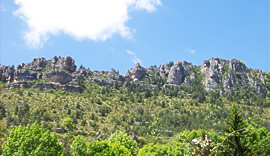 balade sur le Causse Méjean