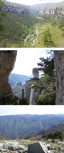 gorge de la Jonte et vue depuis l'Aigoual