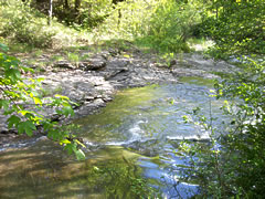 rivière la Jonte