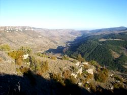 Vallée de la Jonte